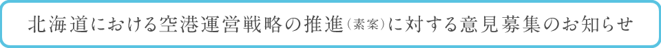 北海道における空港運営戦略の推進（素案）に対する意見募集のお知らせ