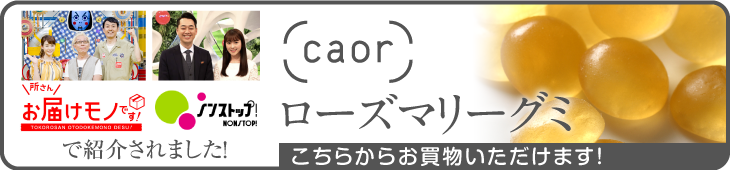 ローズマリーグミ