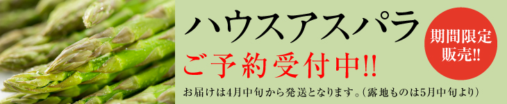 ハウスアスパラ